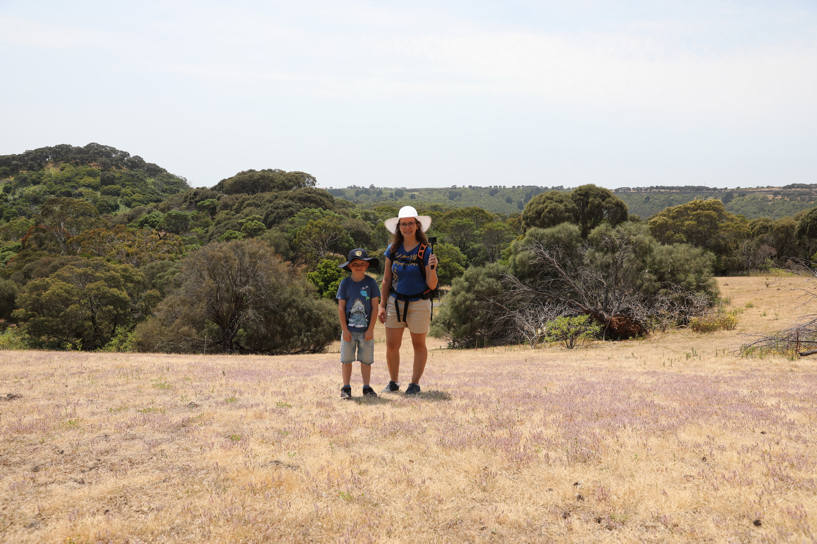 Tower Hill Wildlife Reserve